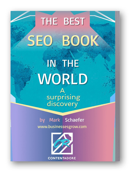 The Best Seo Book in the World